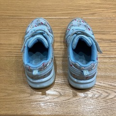 瞬足18.0cmの画像