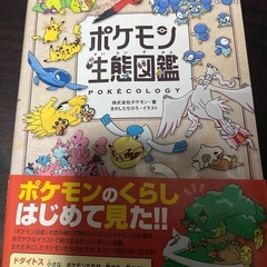 ポケモンいろいろセット
の画像