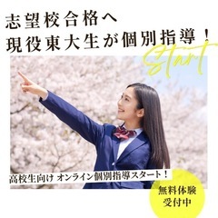 【現役東大生オンライン個別指導！限定2〜4名募集】東葛飾高…