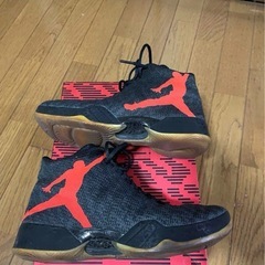 Jordan xx9レア27センチの画像