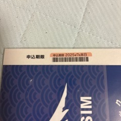 日本通信SIM スターターパックの画像