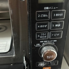TWINBIRDの画像