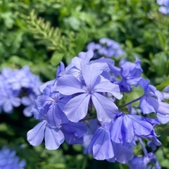人生の目的を知れる…勉強会のお知らせ🌿