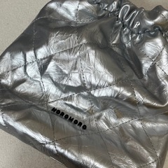 シルバーバックの画像
