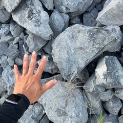ロックガーデンの画像