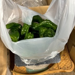 残り5キロ規格外ピーマン1キロ30個くらいの量で200円の画像