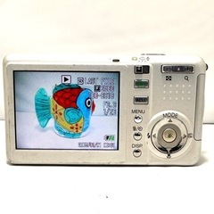 単三電池2本でも動きます リコーのデジカメの画像
