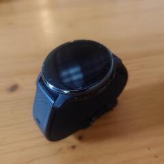 GARMIN VENU2PLUSの画像