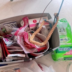 早い者勝ち！猫ちゃんグッズ大量の画像
