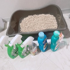 早い者勝ち！猫ちゃんグッズ大量の画像