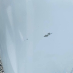 ④✅ヤマダ電機洗濯機✅ ✅YWM-T55LW✅の画像