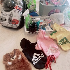 早い者勝ち！猫ちゃんグッズ大量の画像