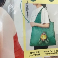 キウイブラザーズ　エコバッグ 
の画像