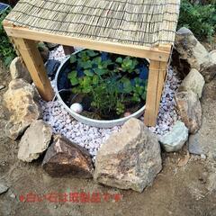 庭の石の画像