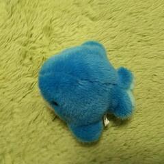 綺麗で可愛いい🐳クジラのぬいぐるみの画像