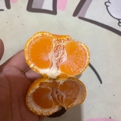 みかん　3袋の画像