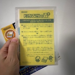どうぶつの森の画像