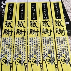 うつのみや花火大会 
チケット キッズパークの画像