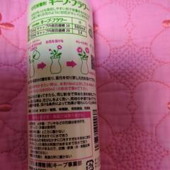 25日までの出品になります🙂‍↕️キ−プ.フラワーの画像