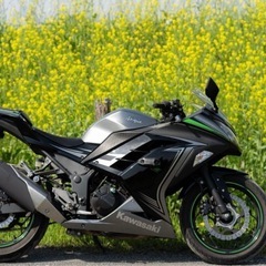 美車 Kawasaki ninja250 ABS装備の画像