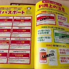 関西🉐スーパー銭湯などのクーポン＆パスポート2冊セットの画像
