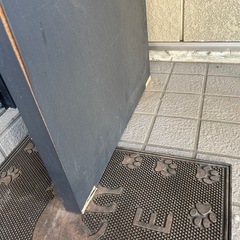 机のみ 差し上げます！ 決定の画像