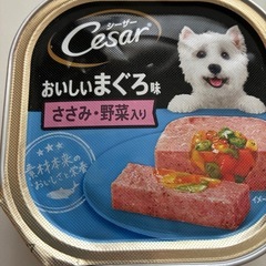 ドッグフード未開封　５個の画像