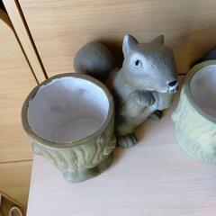 (決まりました!)ガーデニング用品の画像