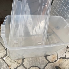 蓋あり収納ケースの画像