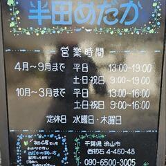 極上　ミックスめだかの画像