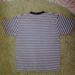 Ｔシャツの画像