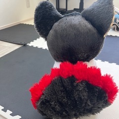 ぬいぐるみの画像
