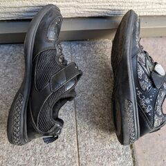 瞬足　23センチの画像
