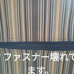 CUTE＆CUTE　キャリーバッグ🧳の画像