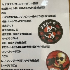 メダカの稚魚　生体販売の画像
