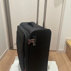 hideo wakamatsu キャリーバッグ(訳あり)の画像