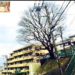 造園業　協力業者さん募集　白岡の画像
