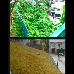 造園業　協力業者さん募集　白岡の画像