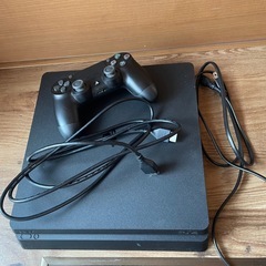 PlayStation4本体　リトルナイトメア　の画像
