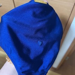 リップサービス　ビキニの画像