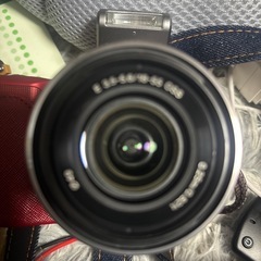 sony α NEX-3の画像