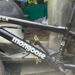 MONGOOSEの画像