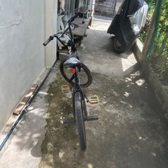 MONGOOSEの画像