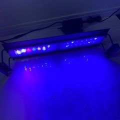 淡水用 LED照明の画像
