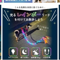 美品　レインボーリード　リード　ペットの画像