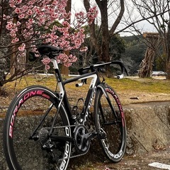 コルナゴv3rs の画像