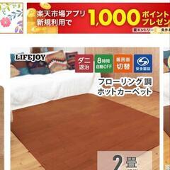 ホットカーペットの画像