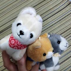 豆柴兄弟のぬいぐるみ 3匹セット美品の画像