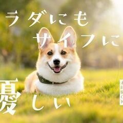 【ラクさ最強説】汚れ・重さ・ストレス一切ナシ！　手のひらサイズの部品を、箱にポン！ラクラク梱包☆の画像