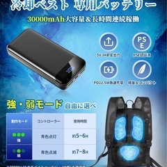 【新品未使用】電気で冷やすペルチェ冷却リュックの画像